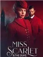 《天堂岛疑云 第十三季》：古老岛屿上的最新悬案，迷雾重重，颠覆你的推理想象