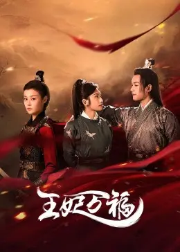 《王妃万福》：一场关于权力、爱情与女性觉醒的迷人颂歌