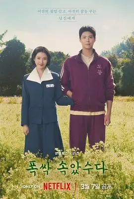 《苦尽柑来遇见你》：这大唐名捕国语版，笑出腹肌，泪点也给戳中了！